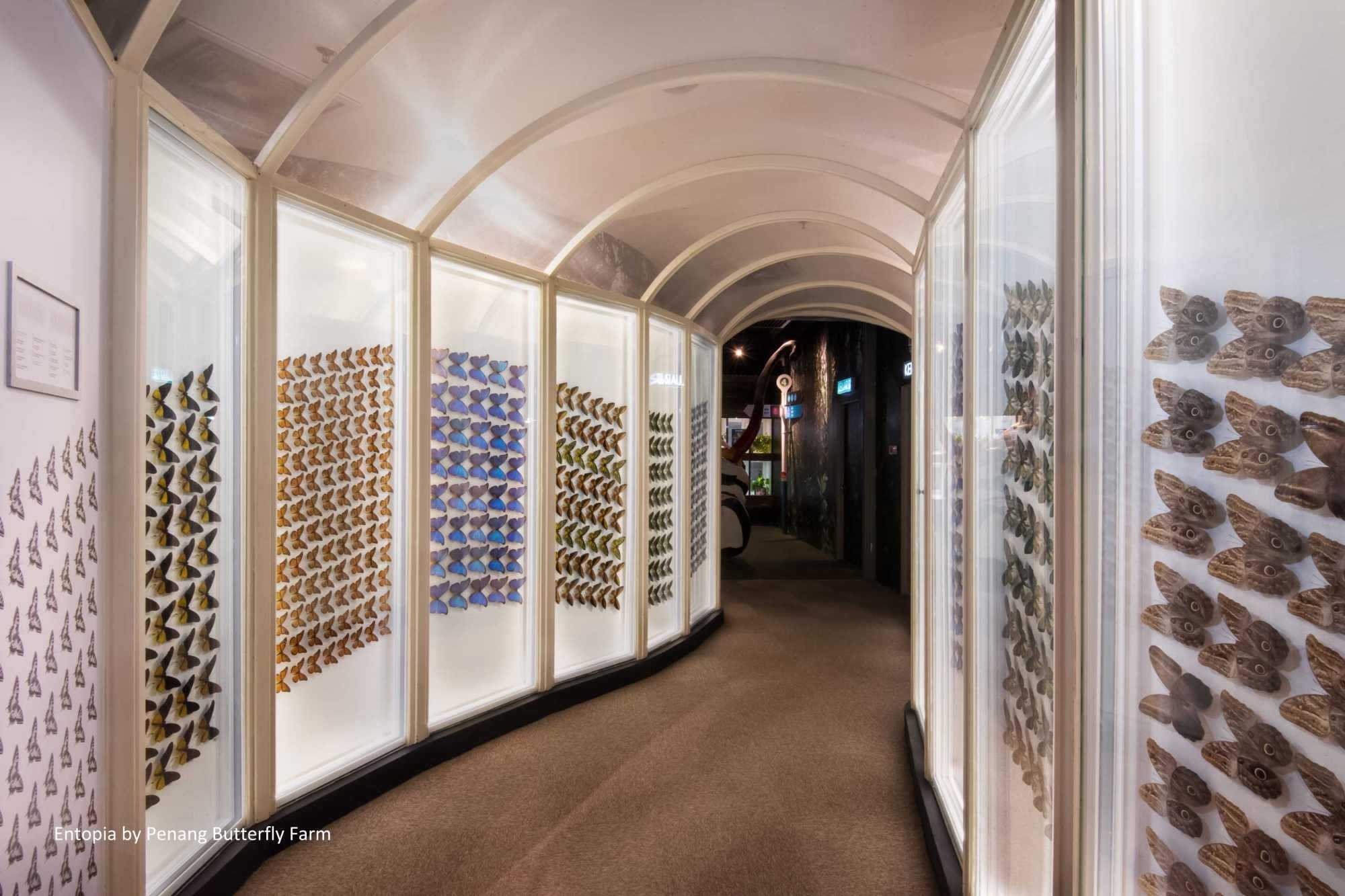 Entopia Penang Cocoon